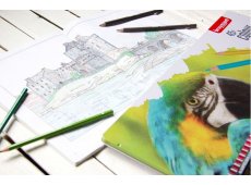 Bruynzeel olovke u boji set 45.