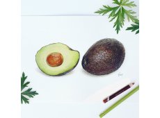 Derwent Coloursoft slika