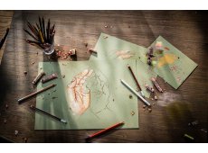 REMBRANDT MIX MEDIA BLOK TONED VERONA GREEN