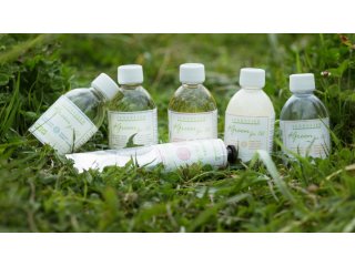 SENNELIER GREEN FOR OIL BIO MEDIUM I RAZRJEĐIVAČ